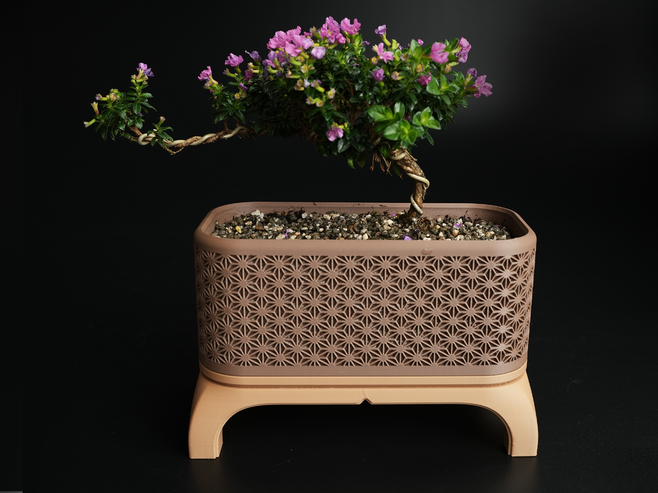 Bonsai Uzun Saksı
