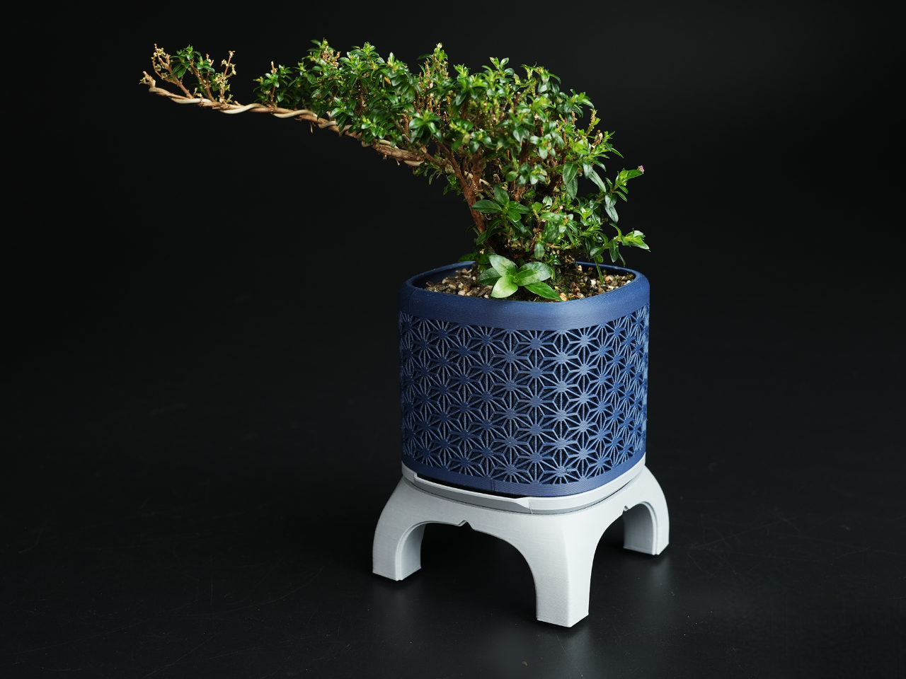 Bonsai Saksı